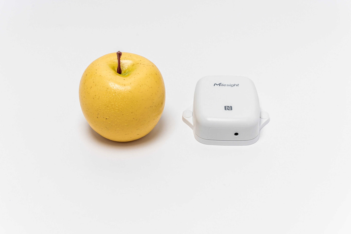 Milesight Temperature and Humidity Sensor EM300-TH