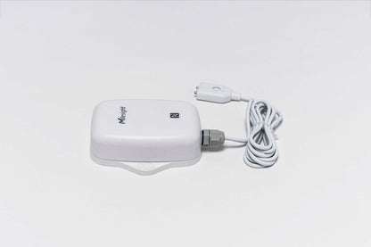 Milesight Spot Leakage Detection Sensor EM300-SLD