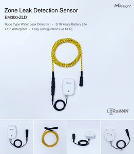 Zone Leakage Detection Sensor EM300-ZLD