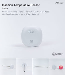 Insertion Temperature Sensor TS101