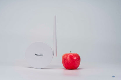Milesight Mini LoRaWAN Gateway UG63 With External Antenna