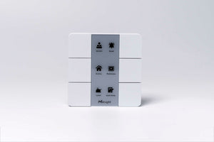 Milesight Smart Scene Panel WS136 / WS156