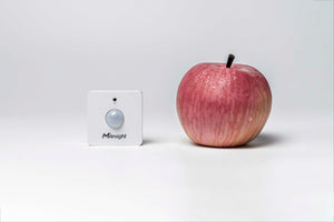 Milesight PIR & Light Sensor WS202