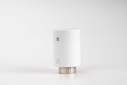Milesight Smart Radiator Thermostat WT101